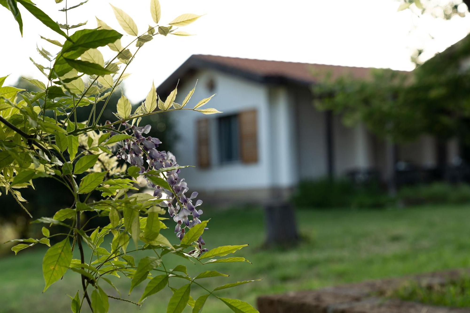 B&B La Figuretta Iesi Exterior photo