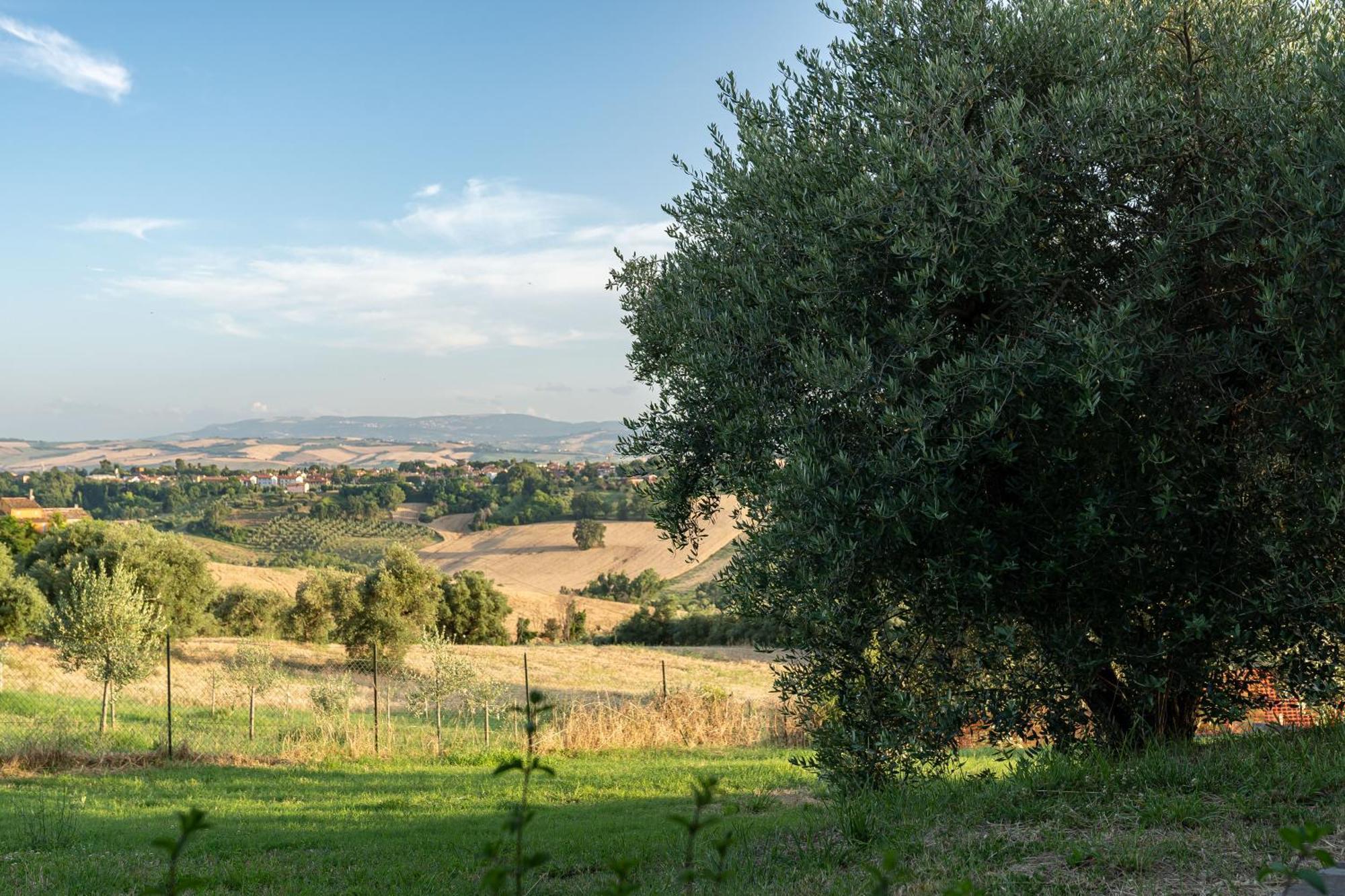 B&B La Figuretta Iesi Exterior photo